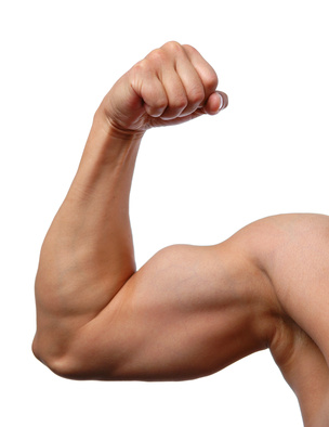 CLA : Il transforme les graisses en muscles !