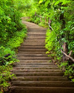 escalier, escaliers