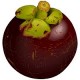 Le mangoustan, fruit des dieux